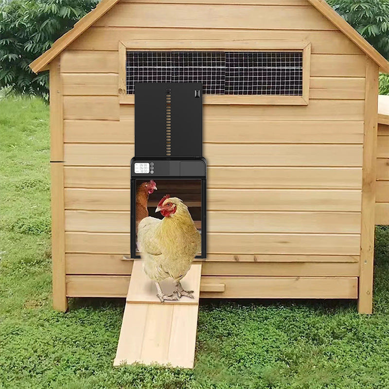 Fitted to a timber coop, door open with hens using it